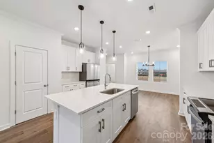 313 Golden Maple Ct, Fort Mill, SC 29708 - Photo 9