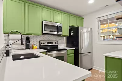 1318 Green Oaks Lane, Charlotte, NC 28205 - Photo 13