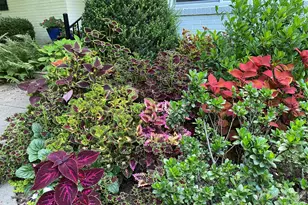 1330 Cedar Ln, Charlotte, NC 28226 - Photo 45