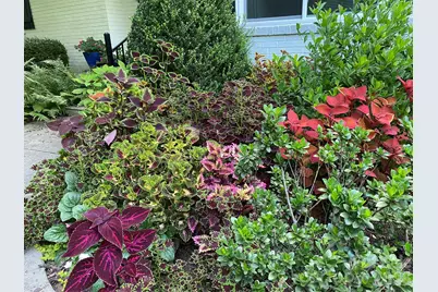 1330 Cedar Lane, Charlotte, NC 28226 - Photo 43