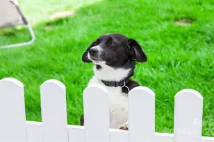 7363 Childress Dr SW, Concord, NC 28025 - Photo 21