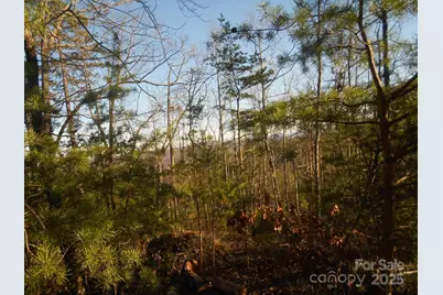 0000 Arbra Mountain Way #54, Bostic, NC 28018 - Photo 3