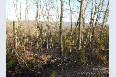 0000 Arbra Mountain Way #54, Bostic, NC 28018 - Photo 5