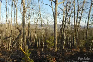 0000 Arbra Mountain Way, Bostic, NC 28018 - Photo 1