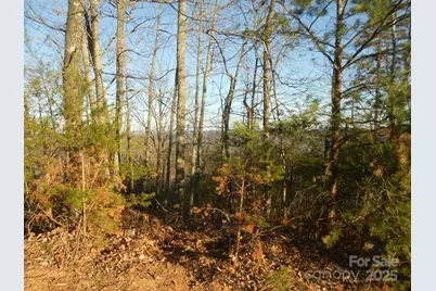 0000 Arbra Mountain Way #54, Bostic, NC 28018 - Photo 7
