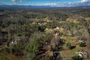 61 Locust Meadow Ln, Weaverville, NC 28787 - Photo 37