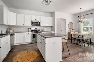 125 Briana Marie Way, Indian Trail, NC 28079 - Photo 9