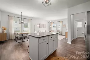 125 Briana Marie Way, Indian Trail, NC 28079 - Photo 11