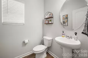 125 Briana Marie Way, Indian Trail, NC 28079 - Photo 19