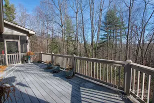 1468 Mt Olivet Rd, Zirconia, NC 28790 - Photo 33