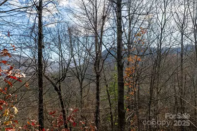 98 Sovereign Lane, Fairview, NC 28730 - Photo 23