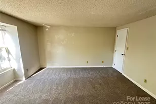 9520 Shannon Green Dr, Charlotte, NC 28213 - Photo 21