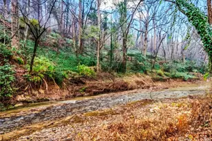 109 Wall Rd, Tryon, NC 28782 - Photo 3