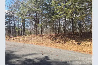 Lot 60 Lake Adger Parkway #60, Mill Spring, NC 28756 - Photo 5