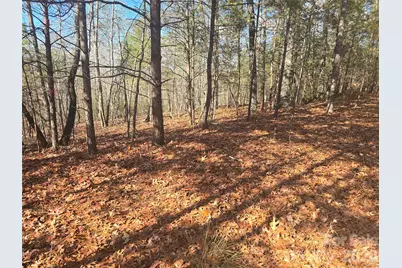 Lot 60 Lake Adger Parkway #60, Mill Spring, NC 28756 - Photo 1