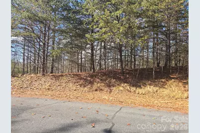 Lot 60 Lake Adger Parkway #60, Mill Spring, NC 28756 - Photo 3