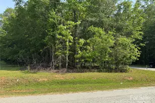 3 Mulberry St, Forest City, NC 28043 - Photo 9