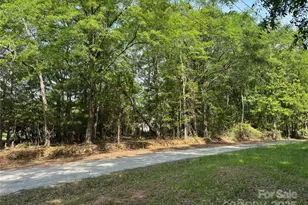 3 Mulberry St, Forest City, NC 28043 - Photo 11