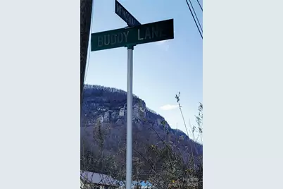 138 Buddy Lane, Chimney Rock, NC 28720 - Photo 15