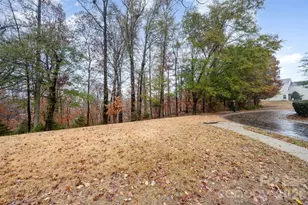 12248 Stratfield Pl Cir, Pineville, NC 28134 - Photo 29