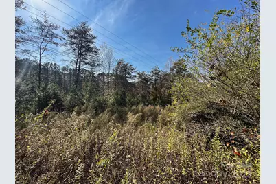 3510 US 64 Highway, Rutherfordton, NC 28139 - Photo 9