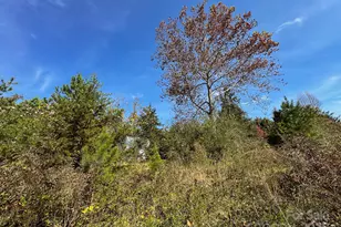 3510 US 64 Hwy, Rutherfordton, NC 28139 - Photo 5