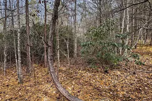 3510 US 64 Hwy, Rutherfordton, NC 28139 - Photo 3