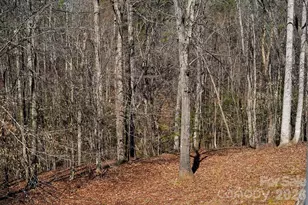 7972 Summit Ridge Dr, Catawba, NC 28609 - Photo 37