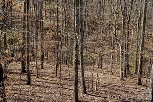 7972 Summit Ridge Dr, Catawba, NC 28609 - Photo 39