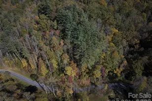 0 Treehouse Rd, Whittier, NC 28789 - Photo 3