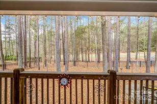 16645 Turtle Point Rd, Charlotte, NC 28278 - Photo 37