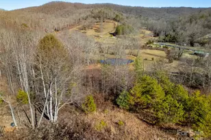 33 N Shadow Run, Balsam Grove, NC 28708 - Photo 31