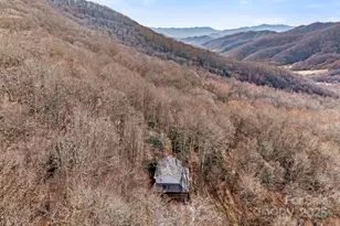 842 Grouse Rd, Clyde, NC 28721 - Photo 3