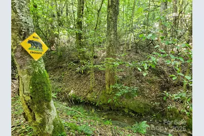 5023 Elk Park Highway, Elk Park, NC 28622 - Photo 45