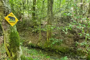 5023 Elk Park Hwy, Elk Park, NC 28622 - Photo 45