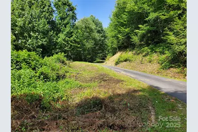 5023 Elk Park Highway, Elk Park, NC 28622 - Photo 35