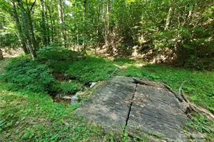 5023 Elk Park Hwy, Elk Park, NC 28622 - Photo 39