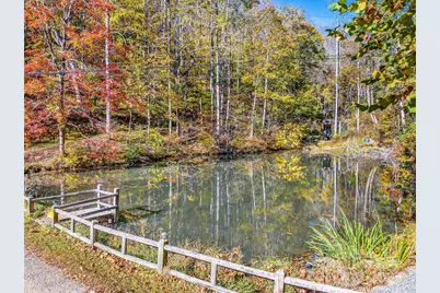 226 Fish Pond Lane, Burnsville, NC 28714 - Photo 33