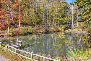 226 Fish Pond Ln, Burnsville, NC 28714 - Photo 33