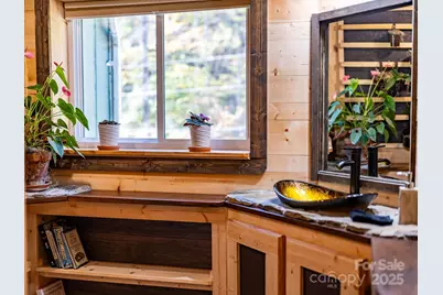 226 Fish Pond Lane, Burnsville, NC 28714 - Photo 19