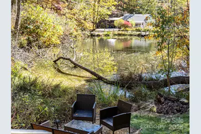 226 Fish Pond Lane, Burnsville, NC 28714 - Photo 37