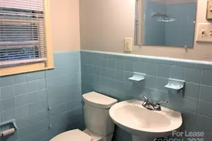 107 Ferstl Ave, Belmont, NC 28012 - Photo 11