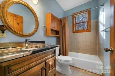 42 Tsitsi Court, Brevard, NC 28712 - Photo 33