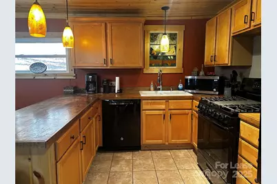 717 Deep Gap Road, Burnsville, NC 28714 - Photo 19