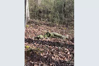 98 Poplar Springs Road, Hiddenite, NC 28625 - Photo 19