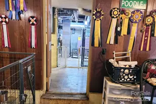 126 Gwyn St, North Wilkesboro, NC 28659 - Photo 33