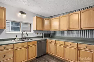 32 Saunooke Rd, Asheville, NC 28805 - Photo 3