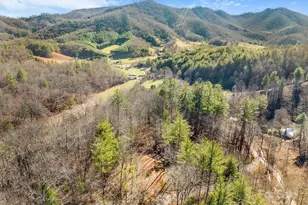 148 Fish Pond Ln, Burnsville, NC 28714 - Photo 9