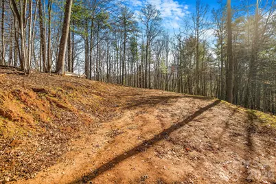 148 Fish Pond Lane, Burnsville, NC 28714 - Photo 7