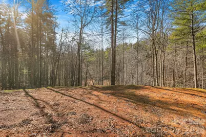 148 Fish Pond Lane, Burnsville, NC 28714 - Photo 5